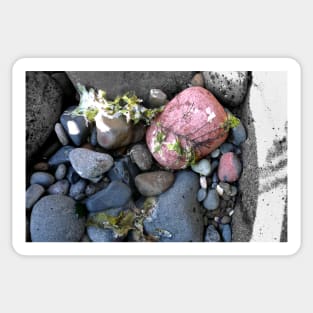 Coloured rocks, Sandringham Beach Sticker